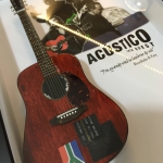 Quadro Rogrio Flausino com Mini Violo (produzido exclusivamente para o msico)