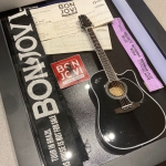 Quadro Bon Jovi com Mini Violo