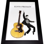 Quadro Elvis Presley com Mini Violo